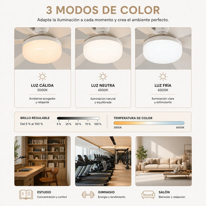 Ventilatore da soffitto 2 in 1