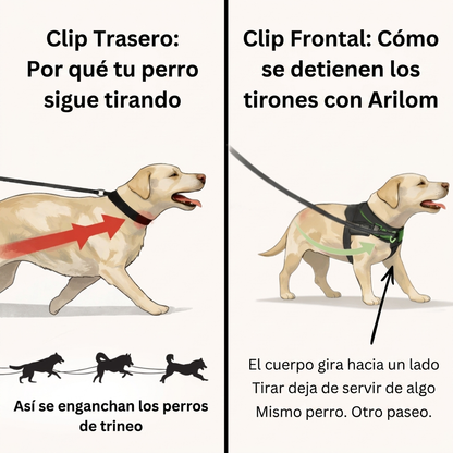 Smetti di temere le passeggiate con il tuo cane